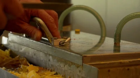 Removing a beeswax plate  Video stock 74057093