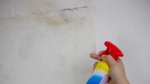 Removing black mold from the wall. Stock Photos