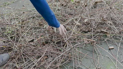 Removing branches from a stoned layed terras Stock Footage 168946923