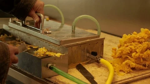 Removing a broken beeswax plate  Stock Footage 74056898