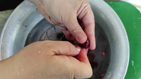 Removing cherry pit Stock Footage 251613928