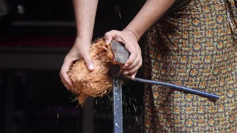 Removing coconut husk using an equipment. Stock Footage 278404724
