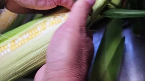 Removing the corn husk Stock-Footage 338203135