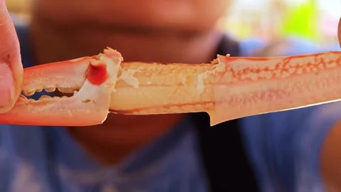 Removing crab meat from leg. Stock Footage 306943237