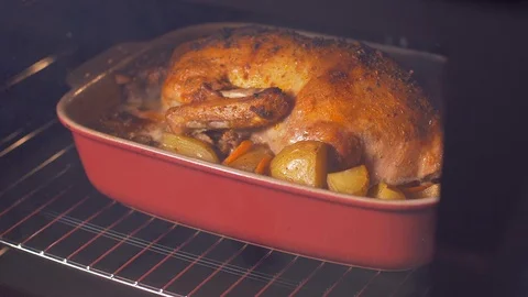 Removing the duck in the oven 動画素材 103631790