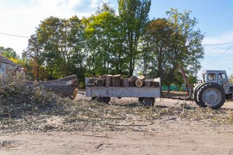 Removing fallen tree with tractor and loader Stock Photos