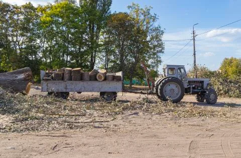 Removing fallen tree with tractor and loader Stock Photos