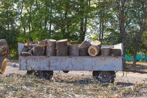Removing fallen tree with tractor and loader Stock Photos