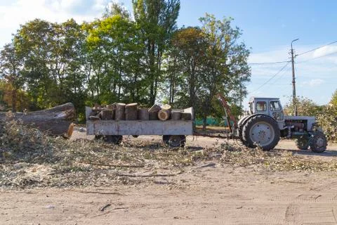Removing fallen tree with tractor and loader Stock Photos