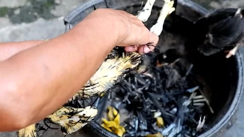 Removing Feathers from Slaughtered Poultry Stock Footage 331486764