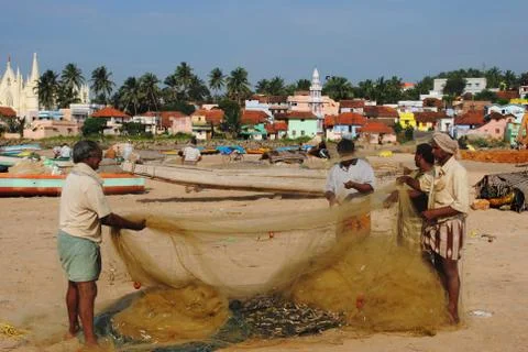 Removing fish Stock Photos