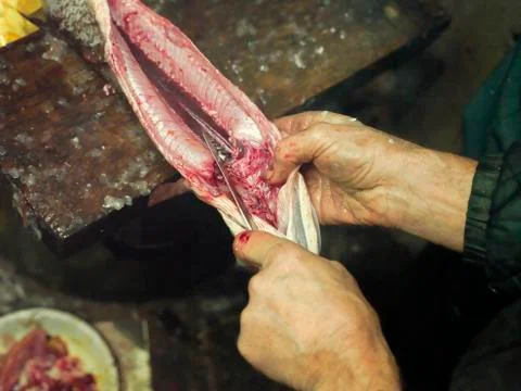 Removing Fish Scale 写真素材