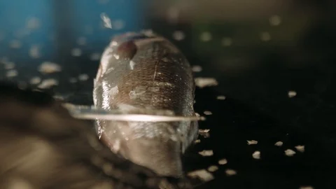 Removing fish scales Stock Footage 125458409