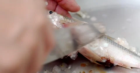 Removing fish scales using knife on sink.A Thailand housewife cooking. Stock Footage 247790479