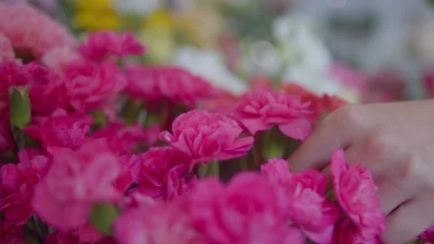 Removing Flowers from Bouquet Stock Footage 201215414
