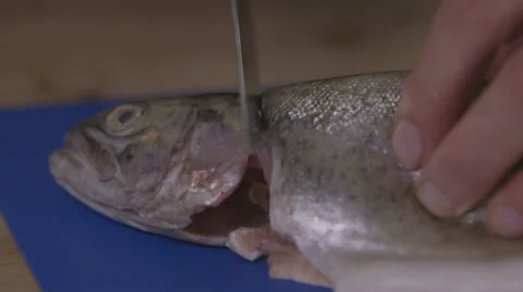 Removing head and tail from a trout; tilt close-up Stock Footage 64054409