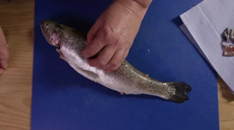 Removing head and tail from a trout wet fish; tilt top-shot, high-shot Stock Footage 64055417
