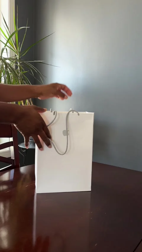 Removing an iPad from an Apple branded bag Stock Footage 308218490