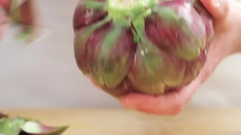 Removing lower leaves from artichokes Stock Footage 24661316