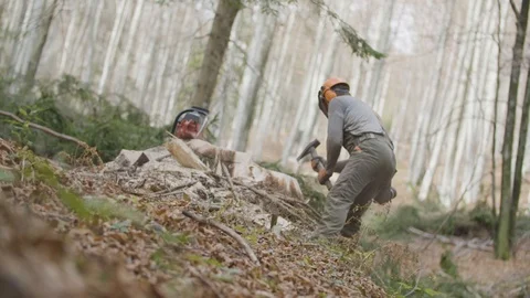 Removing lumber with an axe Stockbeeldmateriaal 92891317