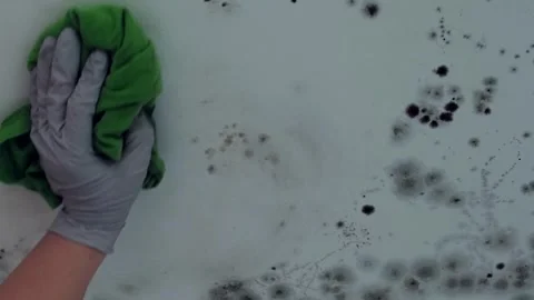 Removing mold from the ceiling 库存影片 331586399