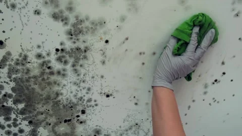 Removing mold from the ceiling, wiping off the mold with a rag Видео 331586407