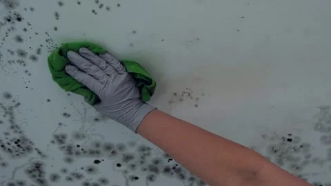 Removing mold from the ceiling, wiping off the mold 库存影片 331586414