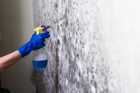 Removing mold on the wall in room Stock Photos