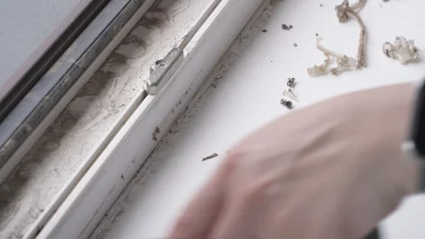 Removing Old Sealant from Window Frame during Renovation 動画素材 335941396