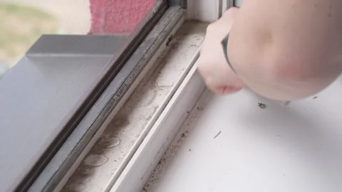 Removing Old Sealant from Window Frame during Renovation Video stock 335941429