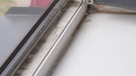 Removing Old Sealant from Window Frame during Renovation Stock Footage 335941451