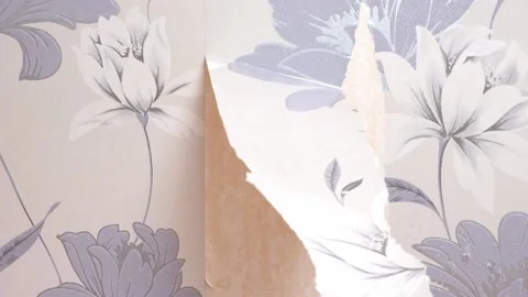 Removing old wallpaper with a spatula and a sprayer with water. A man removes Stock Footage 200649538