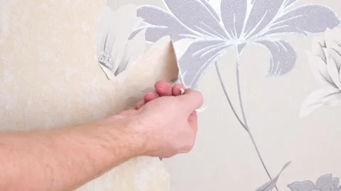 Removing old wallpaper with a spatula and a sprayer with water. A man removes Stock Footage 201218035