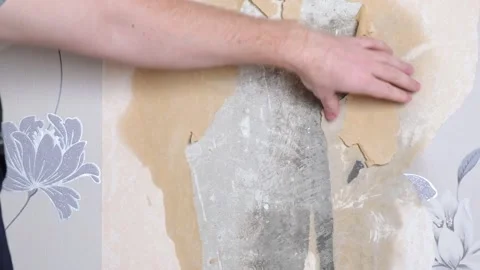 Removing old wallpaper with spatula and a sprayer with water. A man removes old Stock Footage 201218075