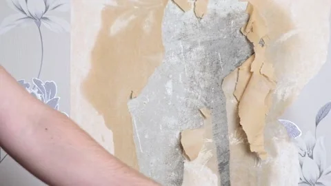 Removing old wallpaper with spatula and a sprayer with water. A man removes old Stock Footage 201630104