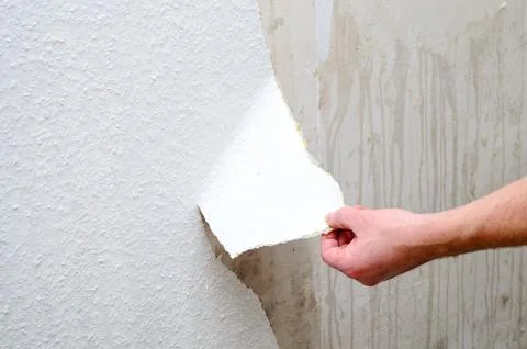 Removing old wallpaper from a wall during home renovation Stock Photos