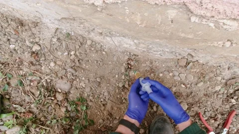 Removing Plants In The Yard Slow Motion Stock Footage 197136933