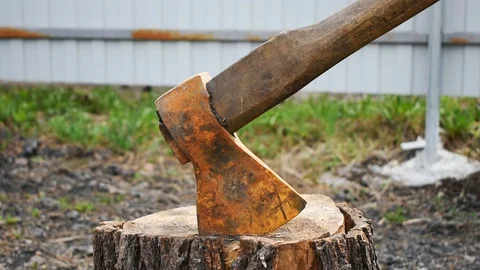 Removing a rusty ax from a tree. Work with agricultural tools Stock Footage 129816488