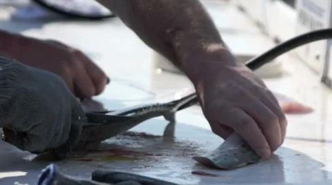 Removing scales and cleaning fresh fish Stock Footage