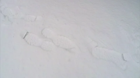 Removing snow from the sidewalk Stock Footage 91324527