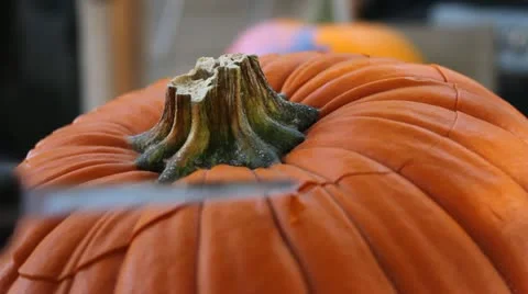 Removing the top off a pumpking to make a jack-o-lantern for Halloween Video stock 12358758