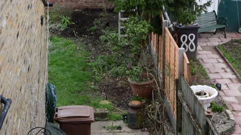Removing tree branches and cuttings. Stock Footage 150384074