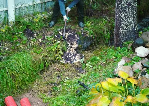 Removing tree roots with axe Stockfoto's