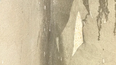 Removing wallpaper 動画素材 72705065