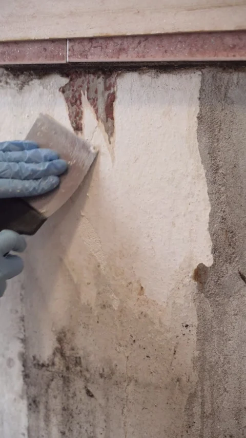 Removing wallpapers close up hands contractor home renovations vertical Stock Footage 297705156