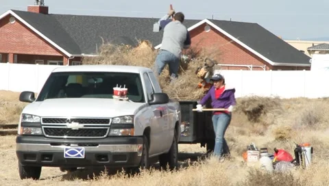 Removing weeds from yard Stock Footage 1089529