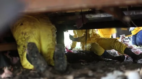 Removing Wet Insulation from Underneath Mobile Home Stock Footage 52995273