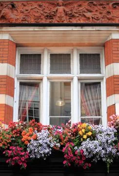 Renaissance window with flowers Stock Photos