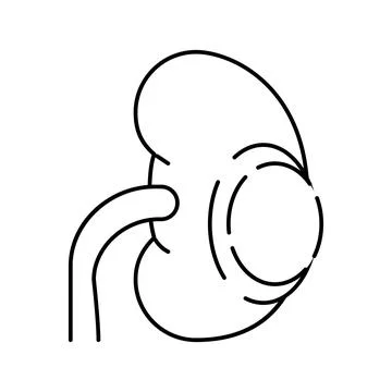 Renal cyst line icon vector illustration Stock Illustration