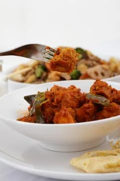 Rendang chicken Stock Photos